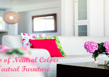 Neutral Colors and Neutral Furniture