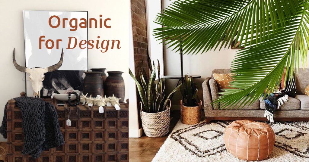 Organic Interior Design